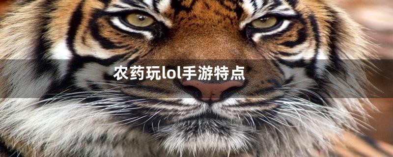 农药玩lol手游特点