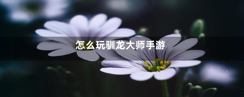 怎么玩驯龙大师手游