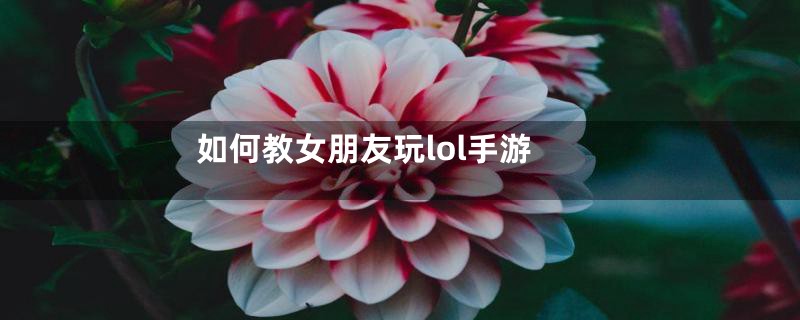 如何教女朋友玩lol手游