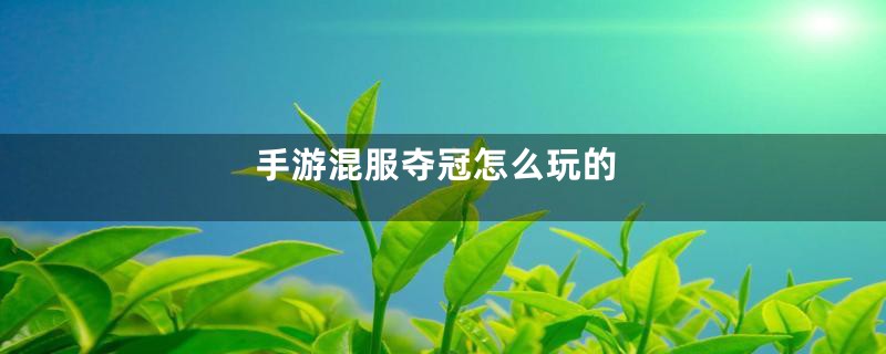 手游混服夺冠怎么玩的