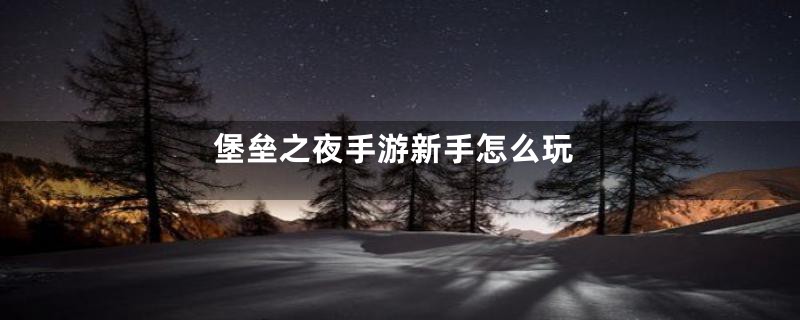 堡垒之夜手游新手怎么玩