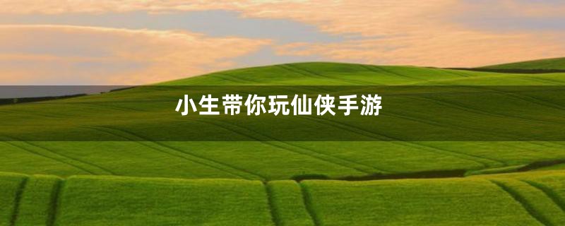 小生带你玩仙侠手游