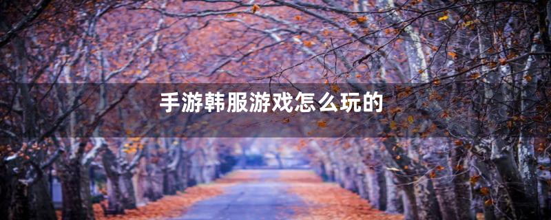 手游韩服游戏怎么玩的