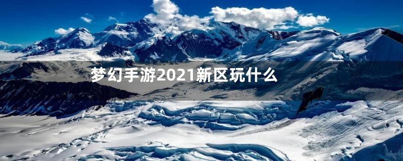 梦幻手游2021新区玩什么