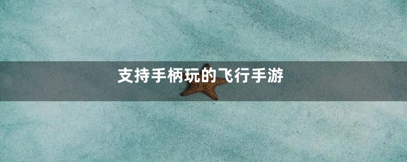 支持手柄玩的飞行手游