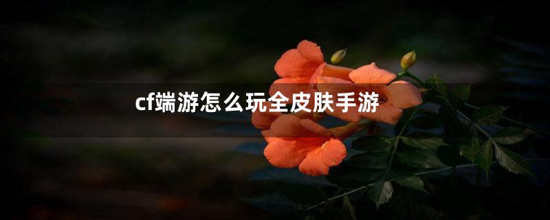 cf端游怎么玩全皮肤手游