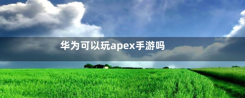 华为可以玩apex手游吗