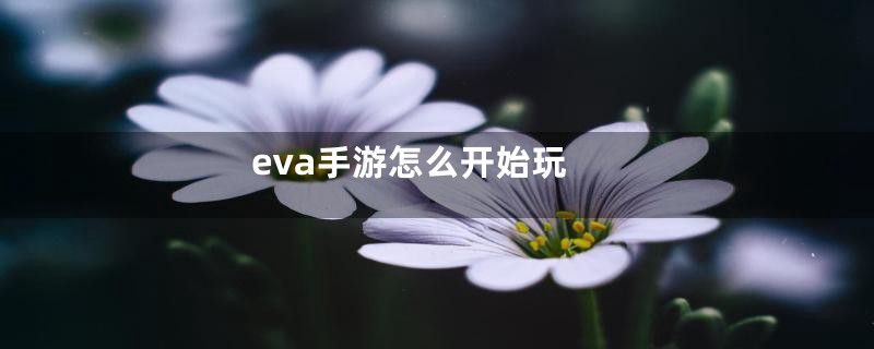 eva手游怎么开始玩