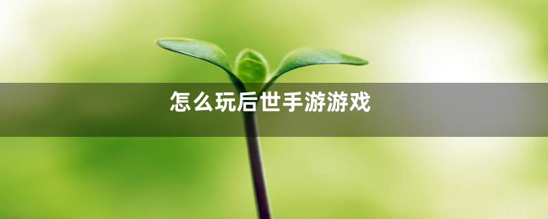 怎么玩后世手游游戏