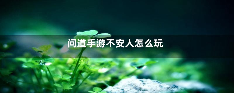 问道手游不安人怎么玩