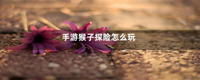 手游猴子探险怎么玩