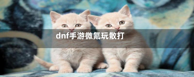 dnf手游微氪玩散打