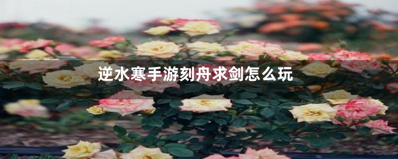 逆水寒手游刻舟求剑怎么玩