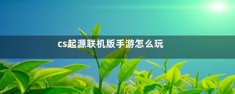 cs起源联机版手游怎么玩