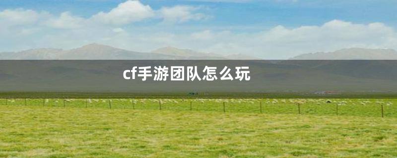 cf手游团队怎么玩