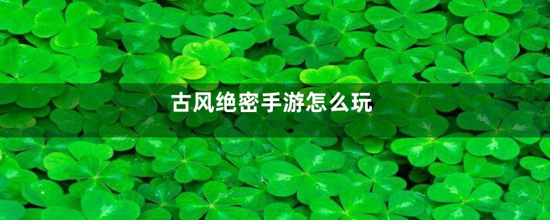 古风绝密手游怎么玩