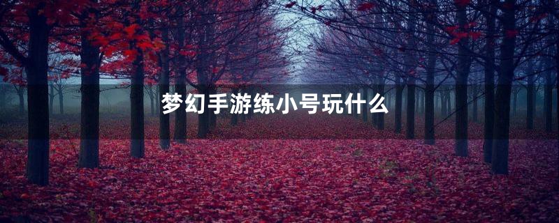 梦幻手游练小号玩什么