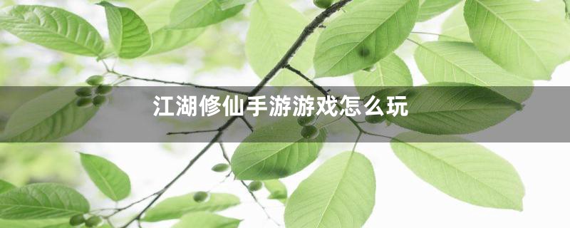 江湖修仙手游游戏怎么玩