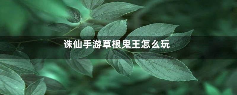 诛仙手游草根鬼王怎么玩