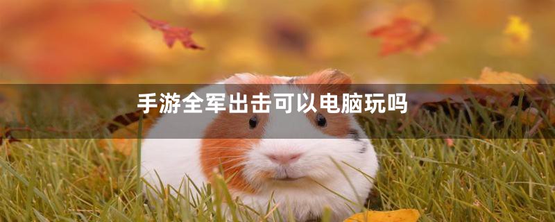 手游全军出击可以电脑玩吗