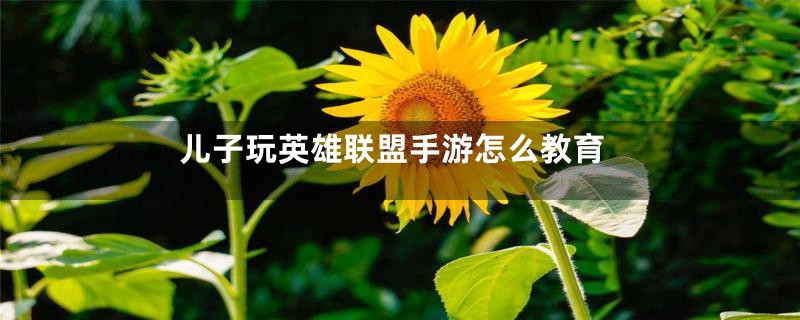 儿子玩英雄联盟手游怎么教育