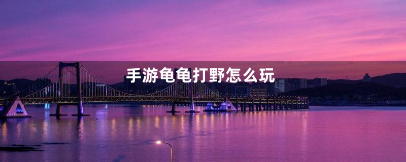 手游龟龟打野怎么玩