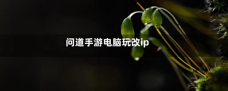 问道手游电脑玩改ip