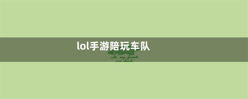 lol手游陪玩车队