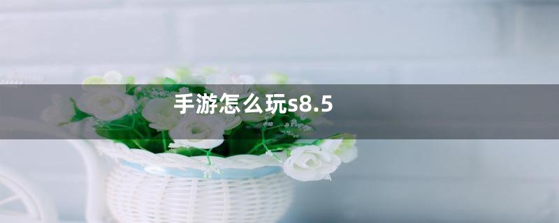 手游怎么玩s8.5