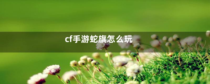 cf手游蛇旗怎么玩