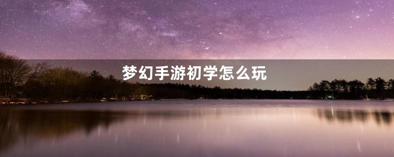 梦幻手游初学怎么玩