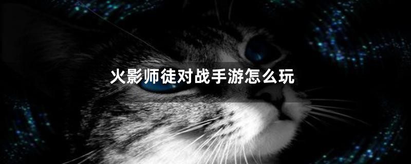 火影师徒对战手游怎么玩