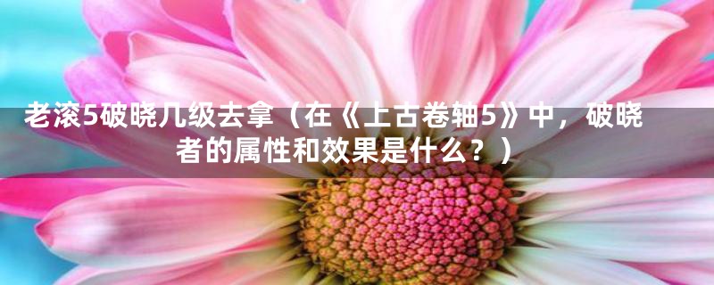 老滚5破晓几级去拿（在《上古卷轴5》中，破晓者的属性和效果是什么？）