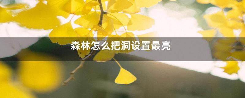 森林怎么把洞设置最亮