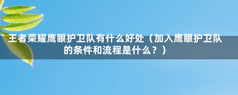 王者荣耀鹰眼护卫队有什么好处（加入鹰眼护卫队的条件和流程是什么？）