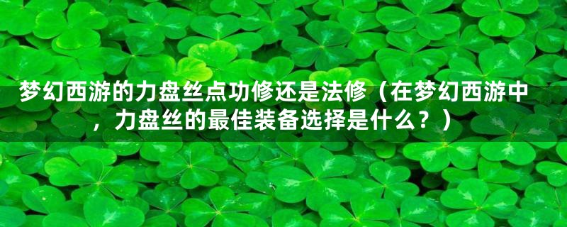 梦幻西游的力盘丝点功修还是法修（在梦幻西游中，力盘丝的最佳装备选择是什么？）