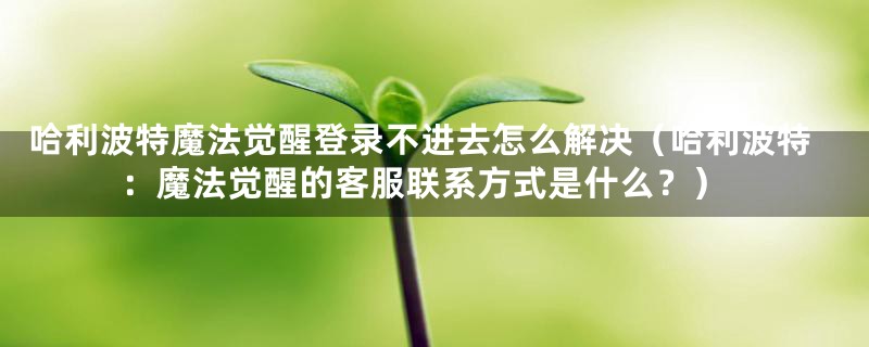 哈利波特魔法觉醒登录不进去怎么解决（哈利波特：魔法觉醒的客服联系方式是什么？）