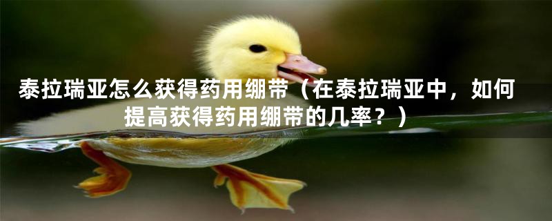 泰拉瑞亚怎么获得药用绷带（在泰拉瑞亚中，如何提高获得药用绷带的几率？）