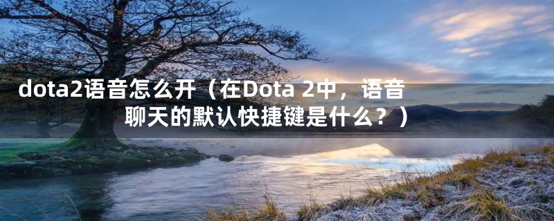 dota2语音怎么开（在Dota 2中，语音聊天的默认快捷键是什么？）