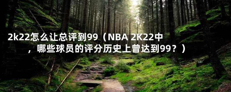 2k22怎么让总评到99（NBA 2K22中，哪些球员的评分历史上曾达到99？）