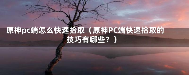 原神pc端怎么快速拾取（原神PC端快速拾取的技巧有哪些？）