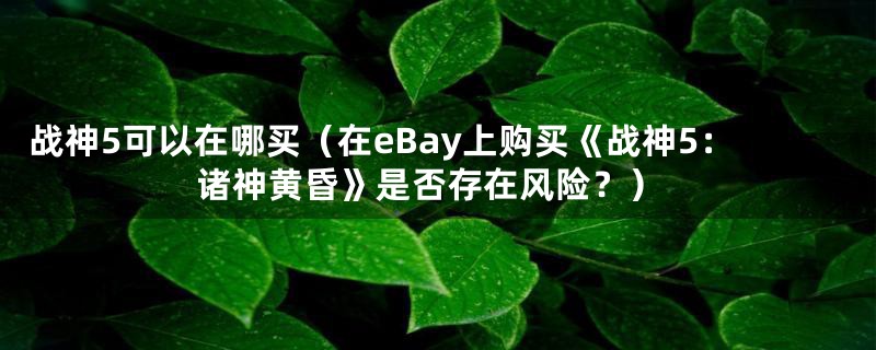 战神5可以在哪买（在eBay上购买《战神5：诸神黄昏》是否存在风险？）