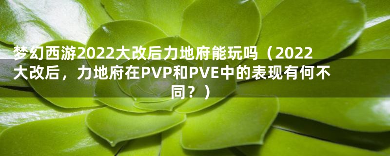 梦幻西游2022大改后力地府能玩吗（2022大改后，力地府在PVP和PVE中的表现有何不同？）