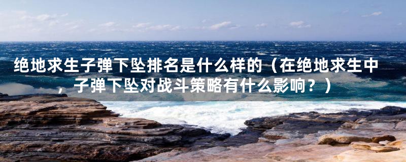 绝地求生子弹下坠排名是什么样的（在绝地求生中，子弹下坠对战斗策略有什么影响？）