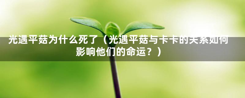 光遇平菇为什么死了（光遇平菇与卡卡的关系如何影响他们的命运？）