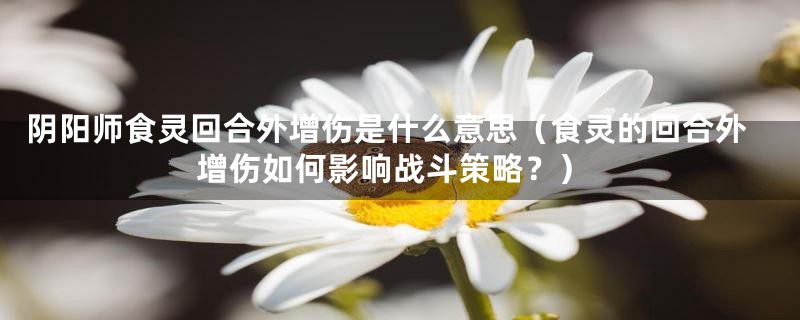 阴阳师食灵回合外增伤是什么意思（食灵的回合外增伤如何影响战斗策略？）