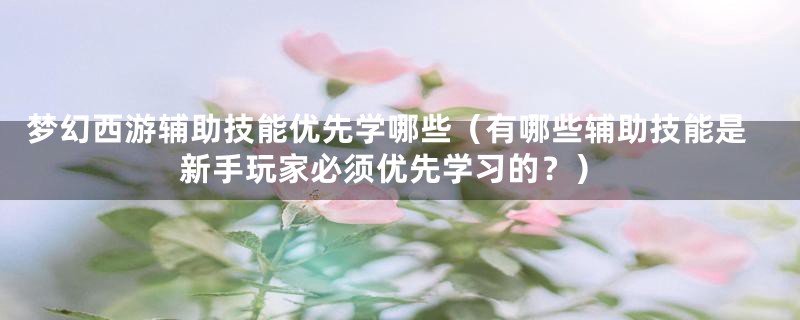 梦幻西游辅助技能优先学哪些（有哪些辅助技能是新手玩家必须优先学习的？）