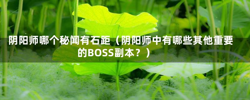 阴阳师哪个秘闻有石距（阴阳师中有哪些其他重要的BOSS副本？）