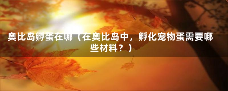 奥比岛孵蛋在哪（在奥比岛中，孵化宠物蛋需要哪些材料？）