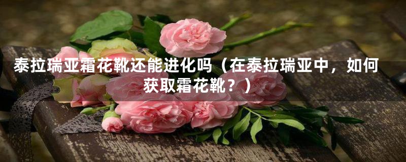 泰拉瑞亚霜花靴还能进化吗（在泰拉瑞亚中，如何获取霜花靴？）